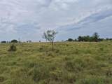 LOT 38 Pr 4311 - Photo 9