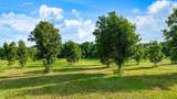 TBD County Road 14900 Road - Photo 17
