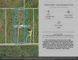 326 County Road 451 - Photo 3
