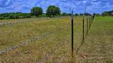 1179 County Road 1470 - Photo 11