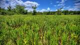 1179 County Road 1470 - Photo 24