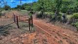 1179 County Road 1470 - Photo 27
