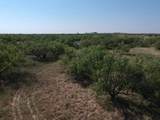 TBD Turtle Hole Road - Photo 11