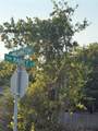 4620 Washington Street - Photo 2