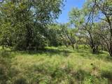 450 County Road 250 - Photo 11