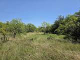 450 County Road 250 - Photo 12