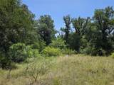 450 County Road 250 - Photo 17