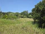 450 County Road 250 - Photo 19
