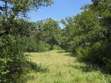 450 County Road 250 - Photo 21