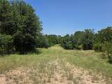 450 County Road 250 - Photo 30
