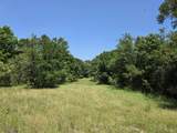 450 County Road 250 - Photo 31