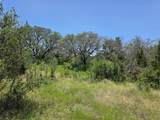 450 County Road 250 - Photo 36