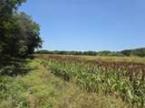 450 County Road 250 - Photo 37