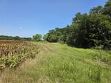 450 County Road 250 - Photo 39