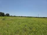 450 County Road 250 - Photo 9