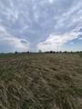 LOT 1 County Road 627 - Photo 4