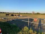 10658 County Road 350 - Photo 12