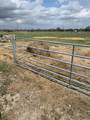 10658 County Road 350 - Photo 13