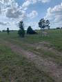 10658 County Road 350 - Photo 3