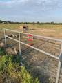 10658 County Road 350 - Photo 7