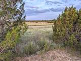 4801 Fm 1086 - Photo 19
