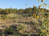 4801 Fm 1086 - Photo 23