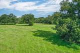 80 +/- Acres Private Road 5317 - Photo 8