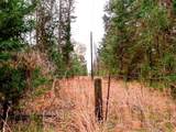 TBD County Road 2339 - Photo 7