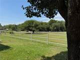168 County Road 193 - Photo 3