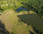 3966 Highway 371 - Photo 7