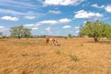 434 County Road 336 - Photo 38