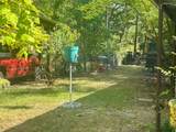 2480 County Road 44550 - Photo 5