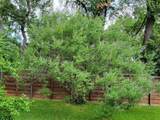 605 Ravinia Drive - Photo 21