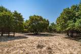 9545 Farm Road 1226 - Photo 23