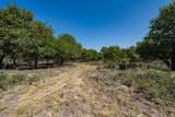 9545 Farm Road 1226 - Photo 32