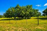 239 County Road 160 - Photo 16