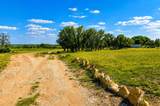 239 County Road 160 - Photo 18