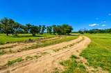 239 County Road 160 - Photo 31
