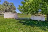 10299 Paddy Hamilton Road - Photo 38