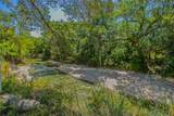 10299 Paddy Hamilton Road - Photo 6