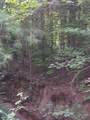 2965 County Road 1439 - Photo 7