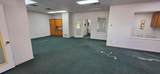 101 Cedar Avenue - Photo 8