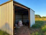 14214 County Road 421 - Photo 10
