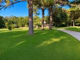 2901 Montecito Drive - Photo 2