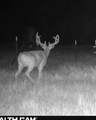 10320 Oklahoma-56 - Photo 11