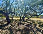 76 Private Road 840 - Photo 10