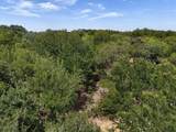 TBD000 Williams Road - Photo 3