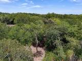 TBD000 Williams Road - Photo 4