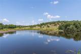 15779 County Road 478 - Photo 34