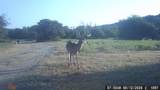 15779 County Road 478 - Photo 37